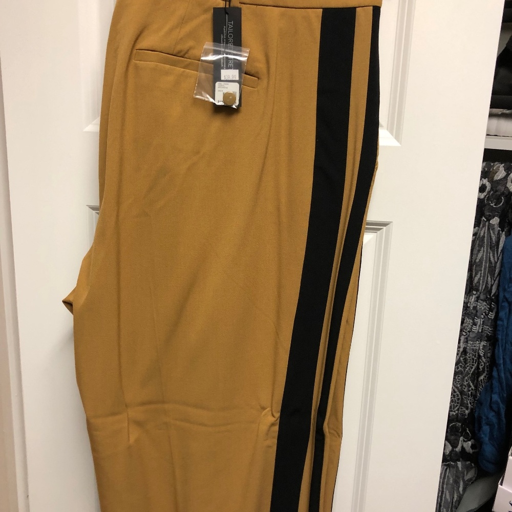 Lane Bryant Trouser. Camel with Black Tuck Stripe